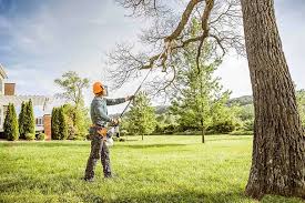 Best Tree Mulching  in Tullytown, PA